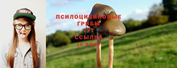 героин Алзамай