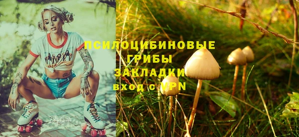 MDMA Premium VHQ Коряжма