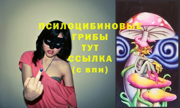 героин Алзамай