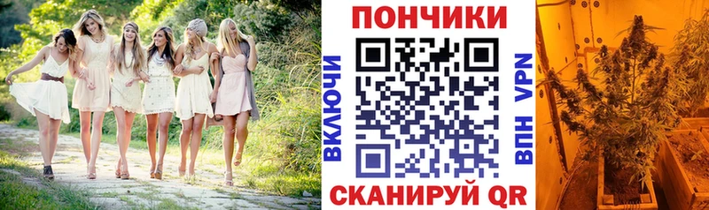 Марихуана AK-47 Ноябрьск